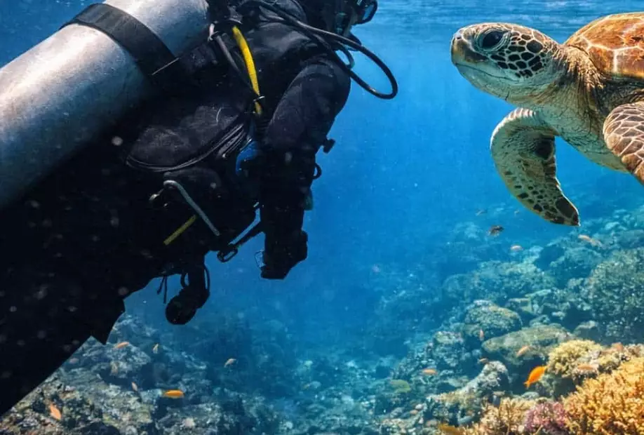 Scuba diving Japan Tokyo