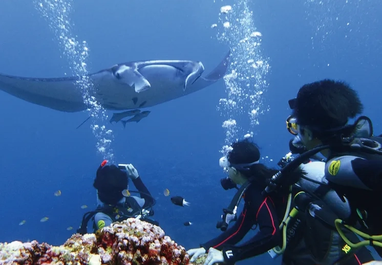 scuba diving Tokyo