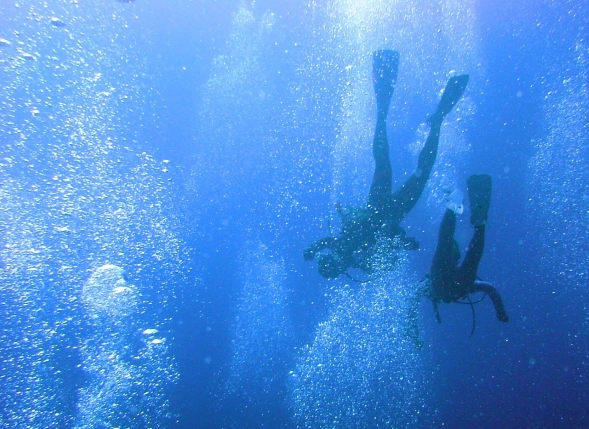 Tokyo dive spots