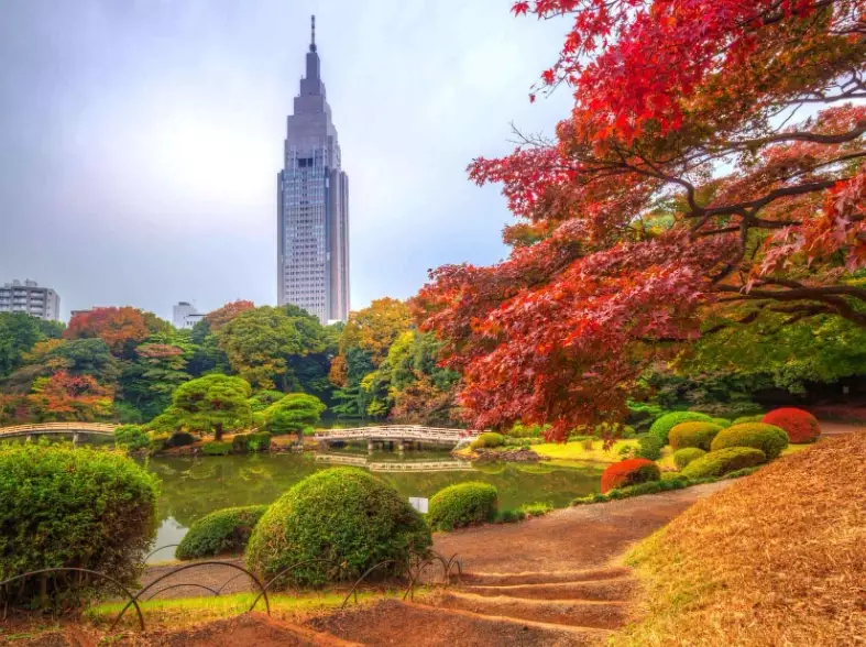 national parks near Tokyo