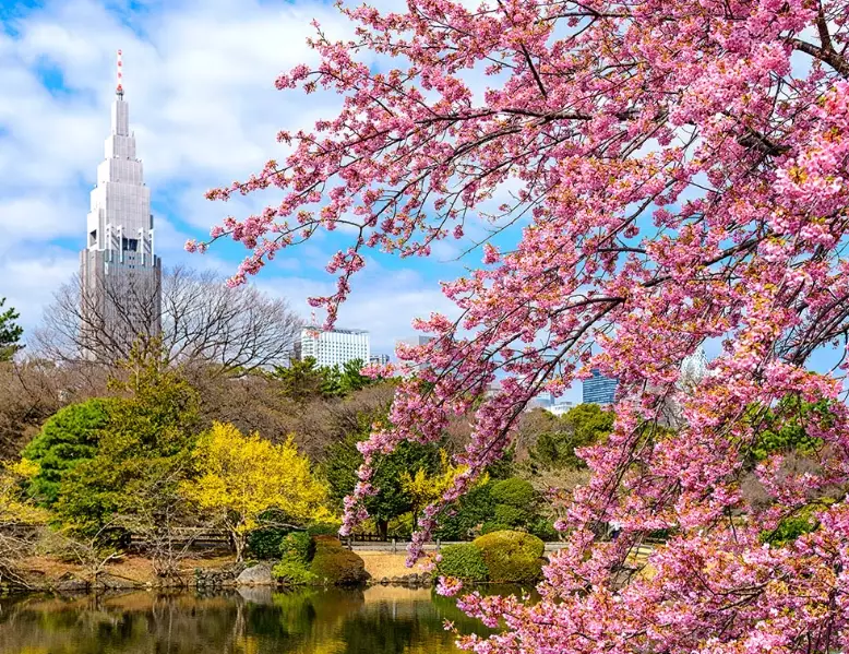 Tokyo nature attractions